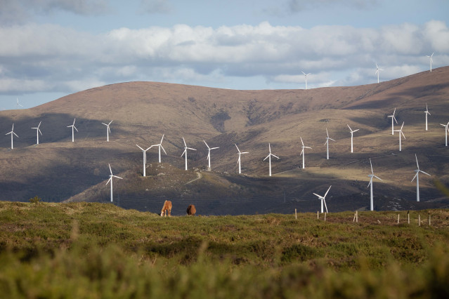 Archivo - Parque eólico