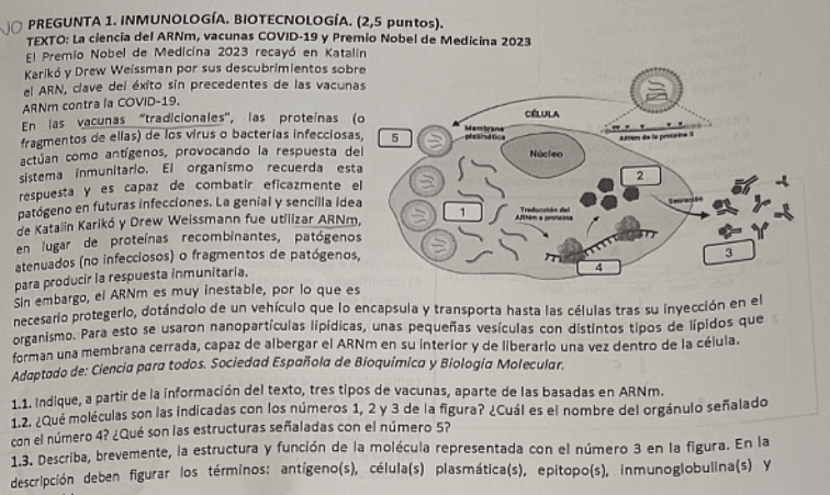 Examen de Biología en la PAU de Galicia: polémica por tal dificultad que profesores dicen no saben responder