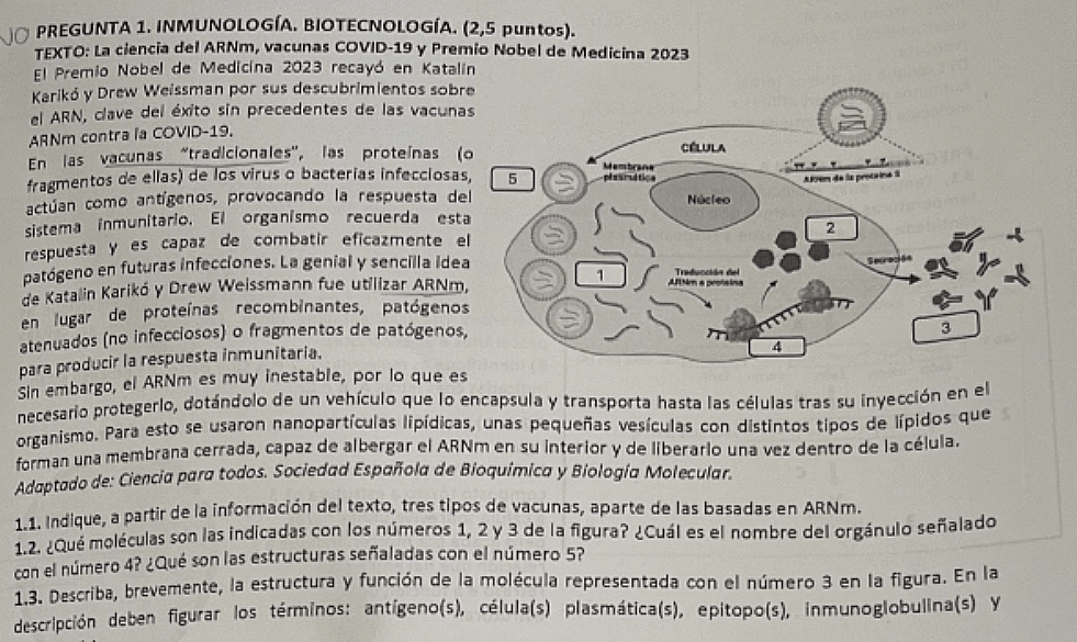 Primeras preguntas del examen de biologu00eda en la PAAU, el selectivo de 2025