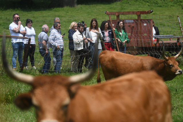 La conselleira do Medio Rural, María José Gómez, visita una explotación ganadera en Val do Dubra, a 11 de junio de 2025.