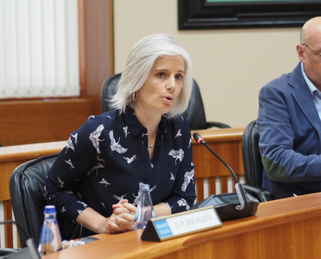 La diputada del PSdeG Patricia Iglesias