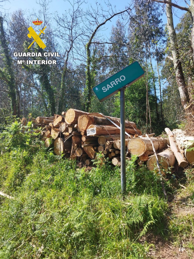 La Guardia Civil investiga a tres personas por una tala sin autorización en los montes de Oleiros, y por delitos de daños, hurto, estafa y falsedad documental.