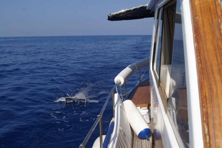 ​Los plásticos ya son parte del ecosistema marino del Mediterráneo