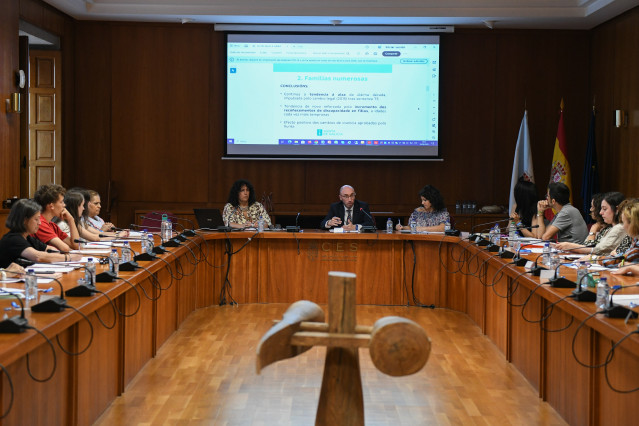 El director xeral de Familia, Infancia e Dinamización Demográfica, Jacobo Rey, preside el pleno del Observatorio Galego de Familia e Infancia.
