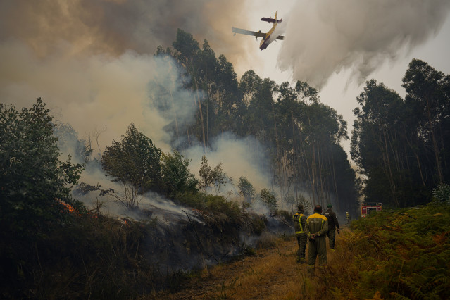 Archivo - Agentes del equipo de Bomberos de Galicia trabajan durante un incendio, a 5 de septiembre de 2024, en Crecente, Pontevedra, Galicia (España). Un incendio forestal en el ayuntamiento pontevedrés de Crecente, en la parroquia de Filgueira, que perm