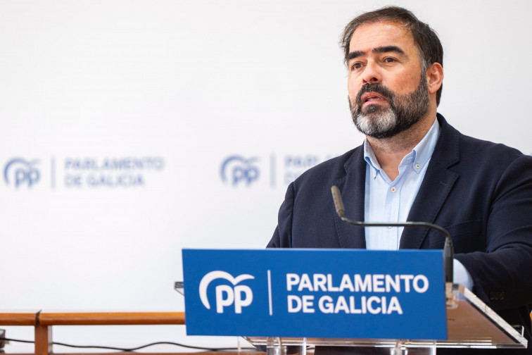 El PP pide 