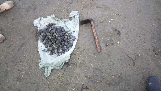 Almejas incautadas a trs furtivos sorprendidos en la playa de Ríos, en Teis (Vigo) el 21 de junio de 2025.