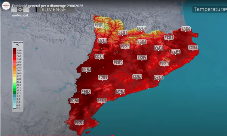 ¿Cómo afecta la ola de calor extrema a tu salud? ¿Qué debes hacer para protegerte?