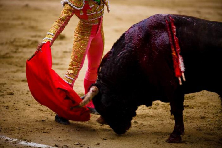 Animalistas piden a la Xunta prohibir a los adolescentes acceder a corridas de toros y becerradas