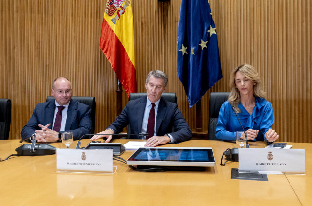 Archivo - (I-D) El portavoz del PP en el Congreso, Miguel Tellado; el líder del Partido Popular, Alberto Núñez Feijóo, y la diputada del PP, Cayetana Álvarez de Toledo, durante las jornadas ‘Constitución y reconstitución’, en el Congreso de los Diputados,