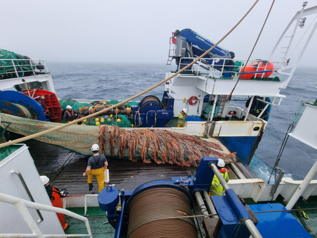 Campaña del IEO en Terranova