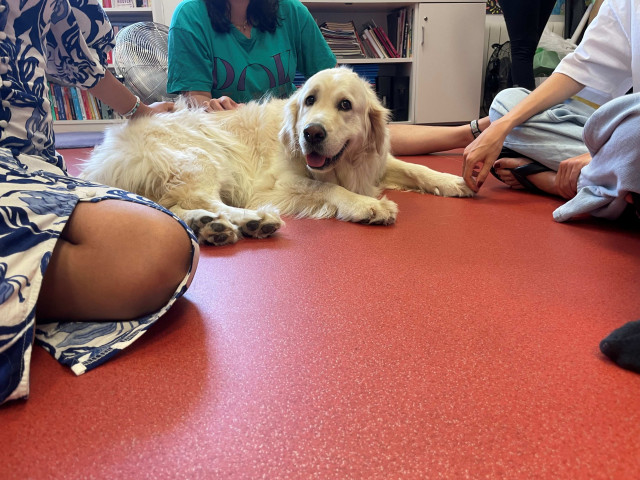 Perros de terapia se incorporan al programa de actividades de recuperación para personas con trastornos de la conducta alimentaria