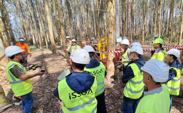 Ence forma a más de 70 personas de Galicia, Asturias y Cantabria en el uso de motosierra