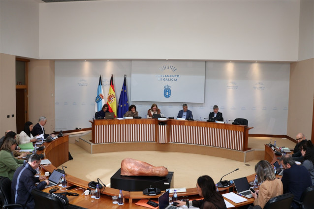 Archivo - Comisión 7ª Agricultura Parlamento de Galicia. Archivo