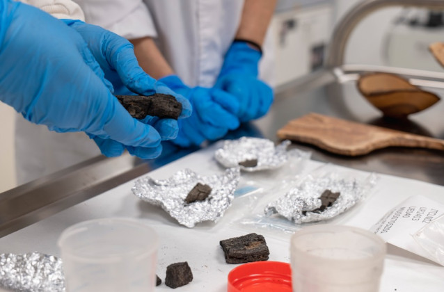 Laboratorio de Arqueobotánica en Santiago.