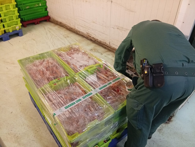 Interceptados más de 280 kilos de cigalas sin documentación en una furgoneta que viajaba hasta A Coruña desde Cantabria.