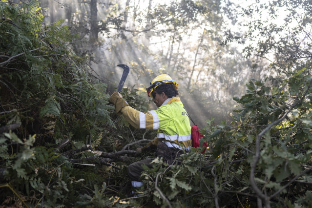 Archivo - Un bombero trabaja en el monte, a 17 de septiembre de 2024, en Brañuelas, León, Castilla y León (España).