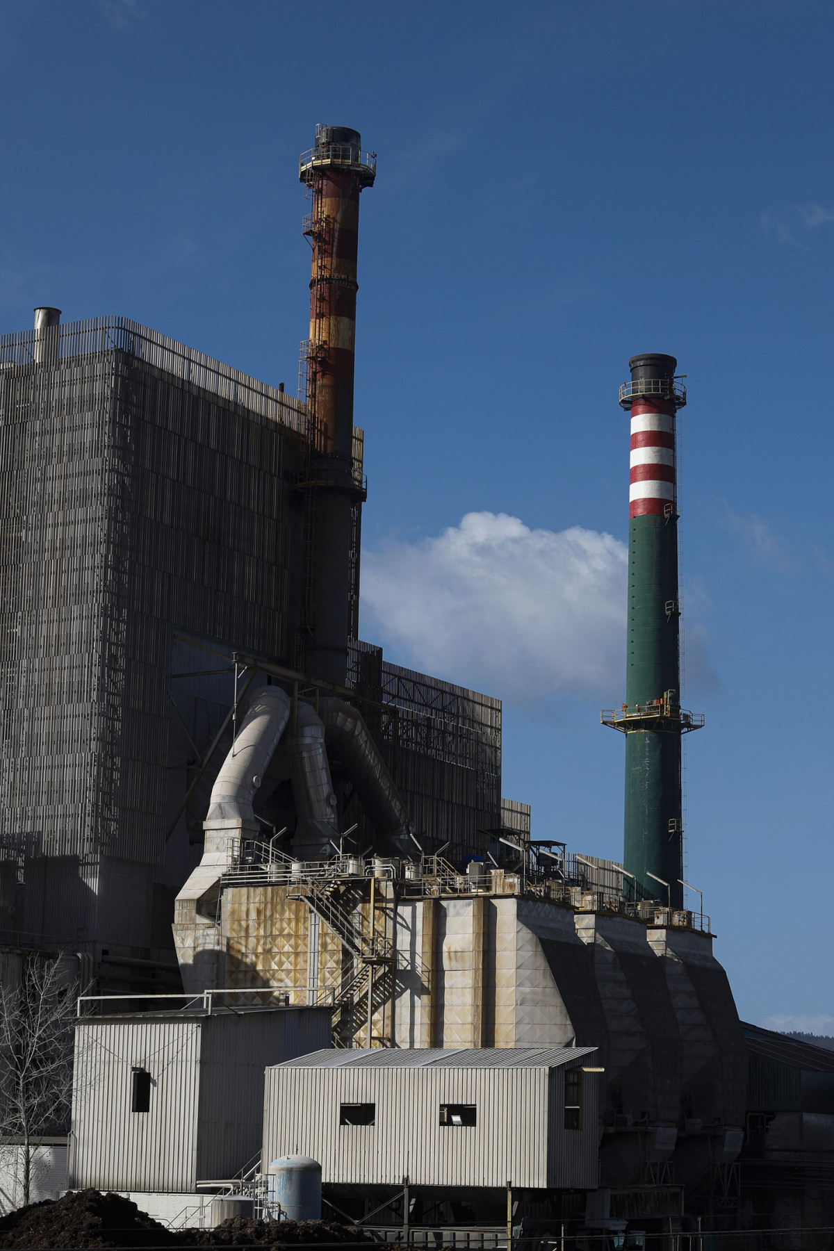 Archivo - La fábrica de ENCE en Pontevedera durante una jornada de huelga de trabajadores de ENCE Pontevedra, a 30 de enero de 2025, en Pontevedra, Galicia (España). Los trabajadores de ENCE han con