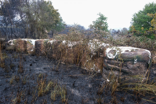 Terreno quemado, tras estabilizar el incendio, a 17 de julio de 2025, en Lalín, Pontevedra, Galicia (España). El incendio registrado a las 13.07 horas de la tarde de ayer, 16 de julio, en la parroquia de Maceira,, fue estabilizado a las 19.44 horas y la s