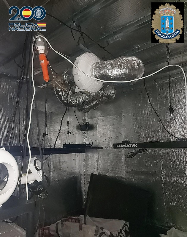 Plantación interior de marihuana.