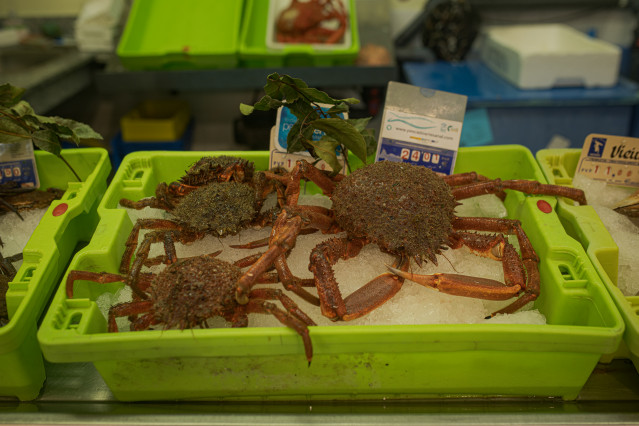 Archivo - Centollos a la venta en un puesto de la Plaza de Abastos, a 7 de noviembre de 2024, en Portonovo, Sanxenxo, Pontevedra, Galicia (España). La campaña extractiva del centollo continúa al haberse levantado la veda establecida por la Xunta, que esta