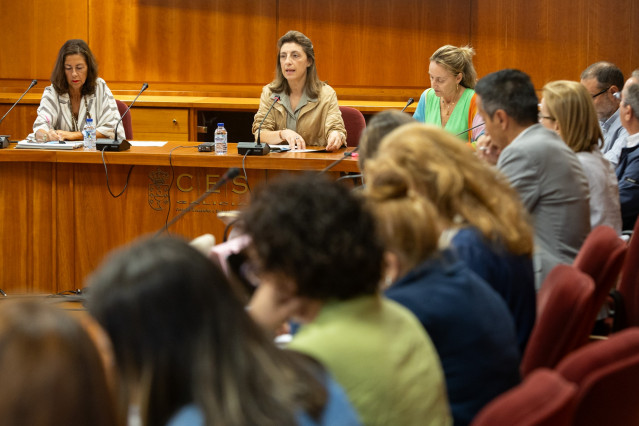 La conselleira de Medio Ambiente, Ángeles Vázquez, en el Consello de Medio Ambiente