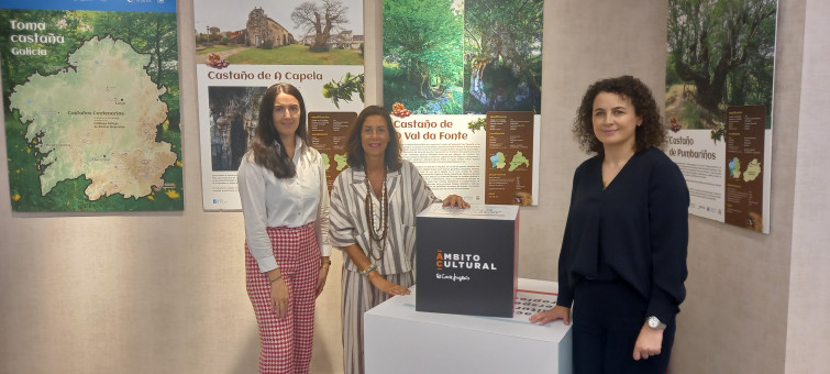 La exposición 'Toma Castaña. Galicia' echa raíces en la Sala Ámbito Cultural de El Corte Inglés de Santiago