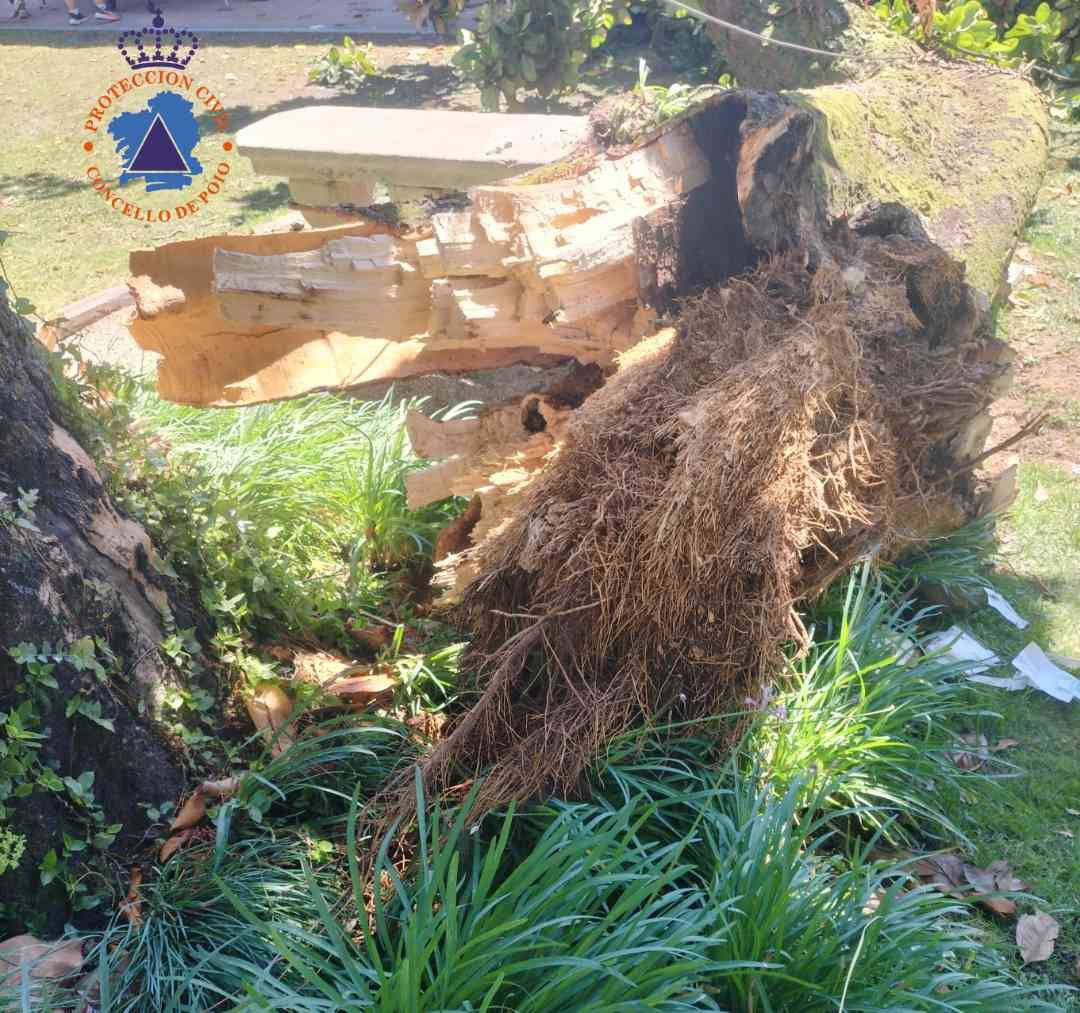 522674933 1082573733977998 2121596982966317176 n