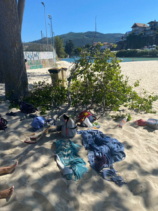 Herida una mujer tras caerle una rama encima en Samil.