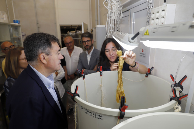 El conselleiro de Educación, Ciencia, Universidades e FP, Román Rodríguez, en ANFACO-CYTMA