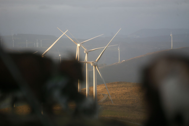 Archivo - Un parque eólico, a 28 de marzo de 2025, en Muras, Lugo, Galicia (España). El Tribunal Supremo ha dictado una sentencia que despeja el futuro de muchos proyectos de la industria eólica en Galicia. El hecho de que dos o más instalaciones de parqu