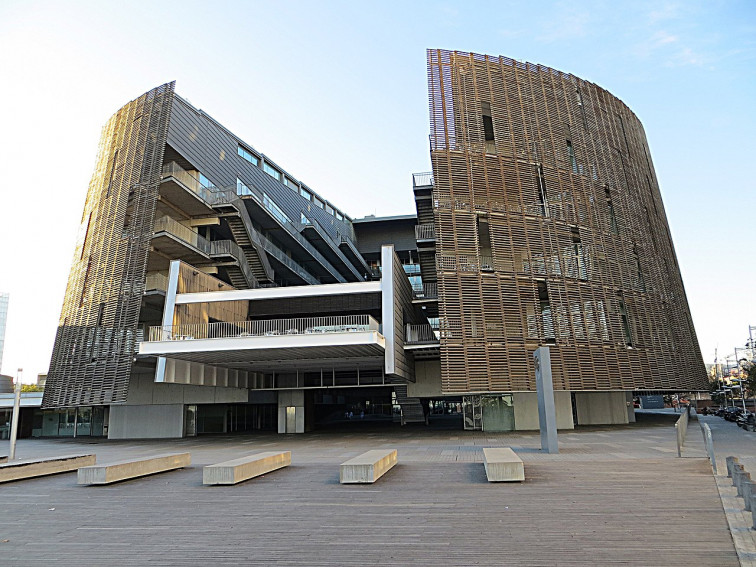 Identifican una proteína clave en el melanoma que podría frenar su capacidad de hacer metástasis