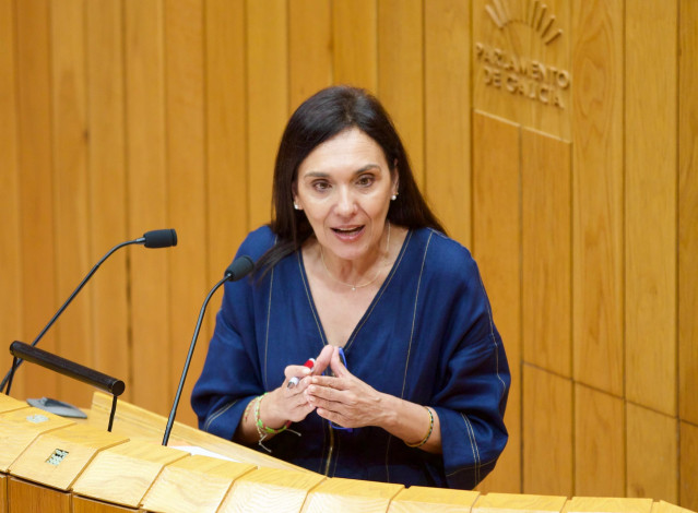 La diputada socialista Carmen Rodríguez Dacosta