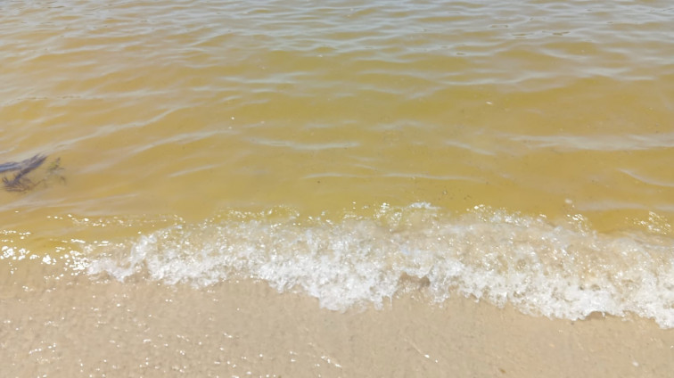 Sanxenxo aclara que la marea roja en sus playas no es peligrosa
