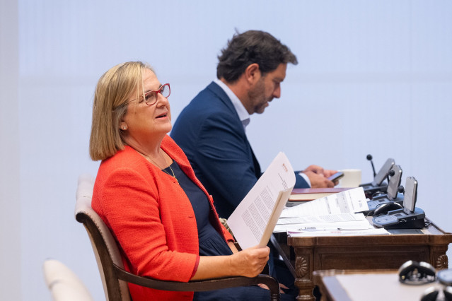 La diputada del PP en el Congreso Irene Garrido.