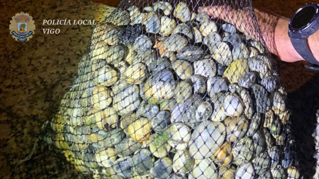 Interceptadas en Vigo cuatro mariscadoras furtivas con más de nueve kilos de almejas y berberechos.