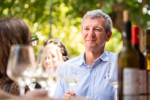 El presidente de la Xunta, Alfonso Rueda.