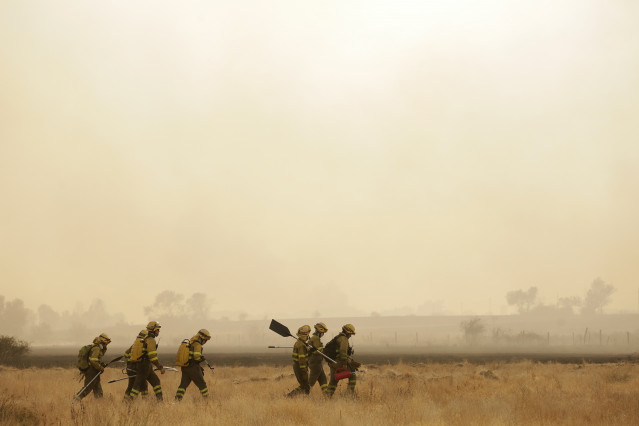 Varios bomberos tratan de extinguir un fuego, a 13 de agosto de 2025, en Miñambres de la Valduerna, León, Castilla y León (España). Un total de 7.859 personas, de 34 localidades leonesas, han sido evacuadas debido al avance del incendio forestal de Molezu