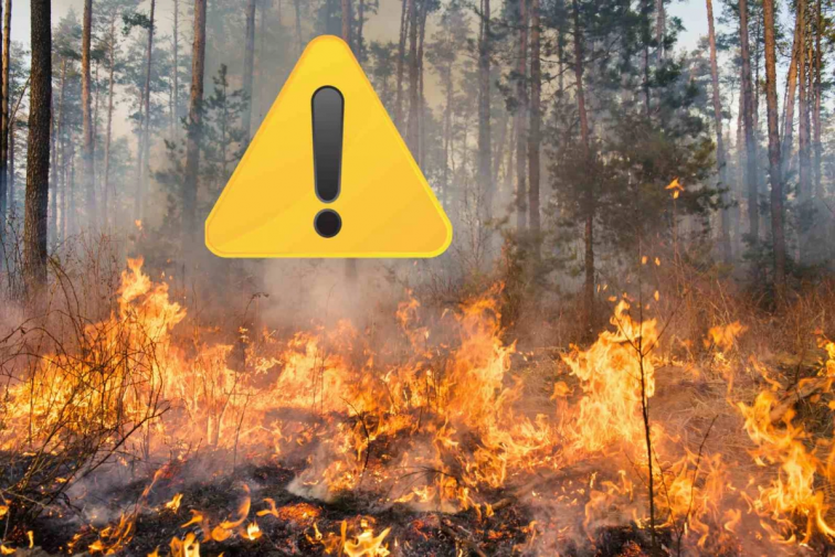 Alarma sanitaria: la mortalidad por humo de incendios forestales podría ser casi el doble de lo estimado