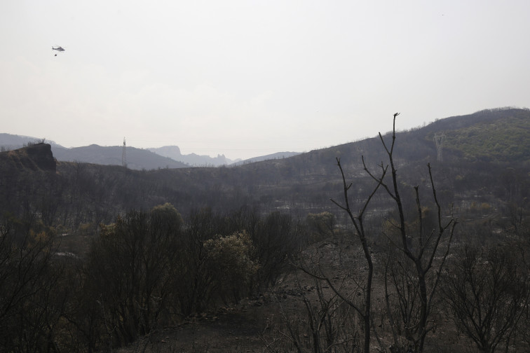 Nuevo EsAlert por incendios en la provincia de Ourense, 36 municipios afectados por la alerta