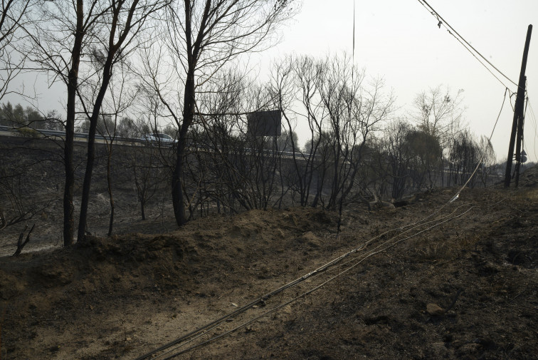 Galicia: más de 46.000 hectáreas quemadas solo en la provincia de Ourense
