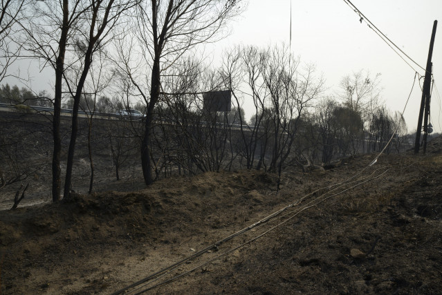 Superficie quemada en incendios de Ourense