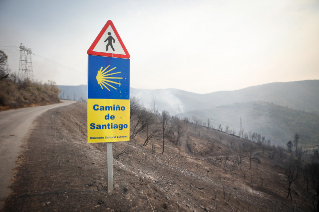 Zona calcinada tras el paso del incendio forestal, a 17 de agosto de 2025, en Quiroga, Lugo