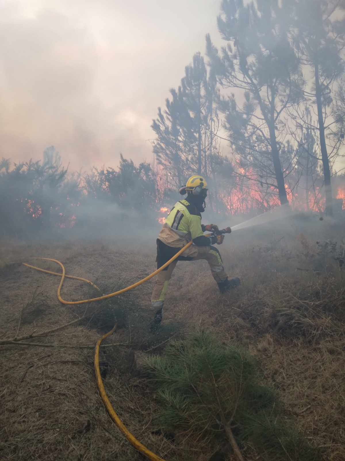 Bombero del Consorcio Provincial Contraincendios de A Coruña, coopera en labores de extinción de incendios en la provincia de Ourense.