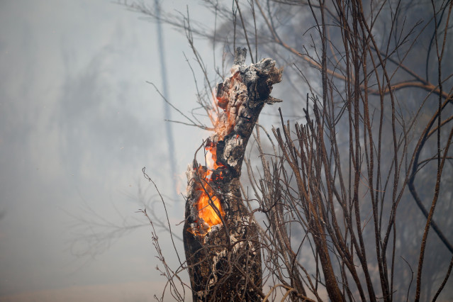 Incendio forestal se acerca a Quiroga, a 17 de agosto de 2025, en Quiroga, Lugo, Galicia (España)