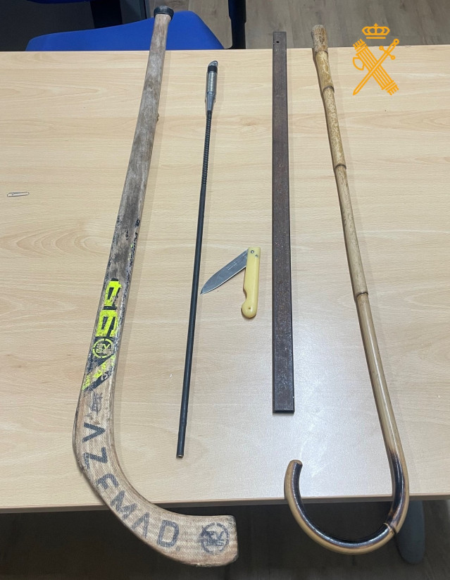 Armas prohibidas incautadas a un falso taxista en Lugo.