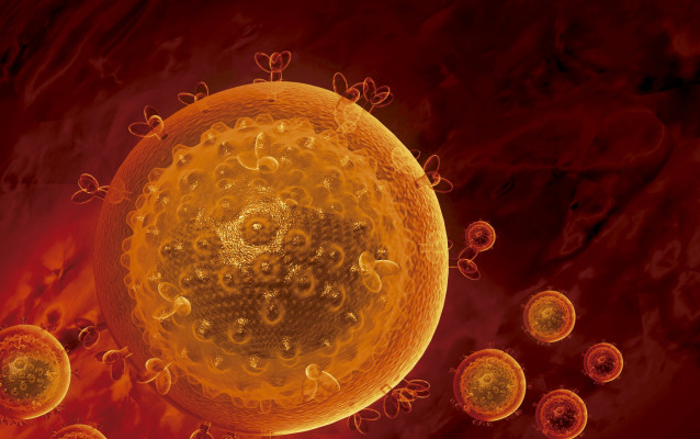 Archivo - Sida. Foto de archivo.