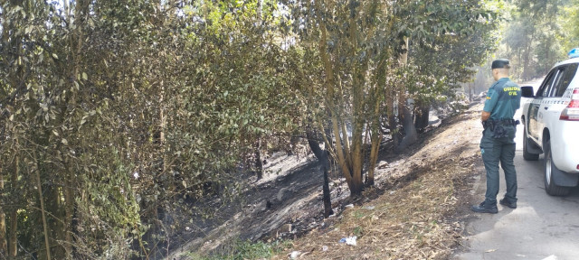 Incendio en Poio (Pontevedra).