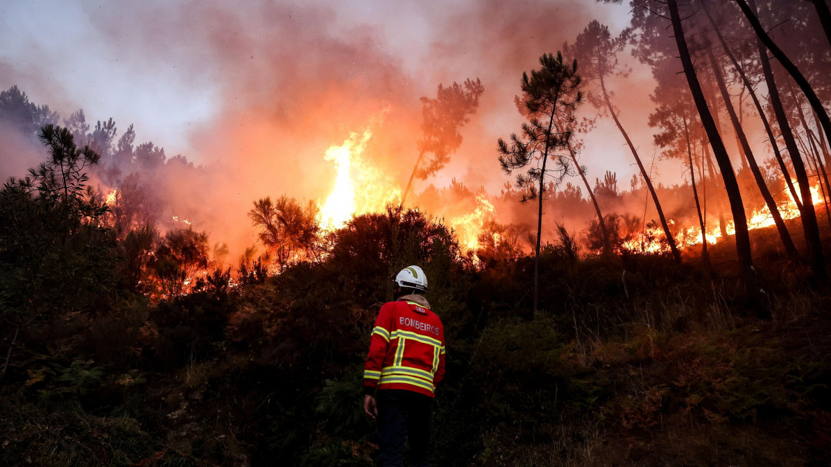 Bomberos rtve