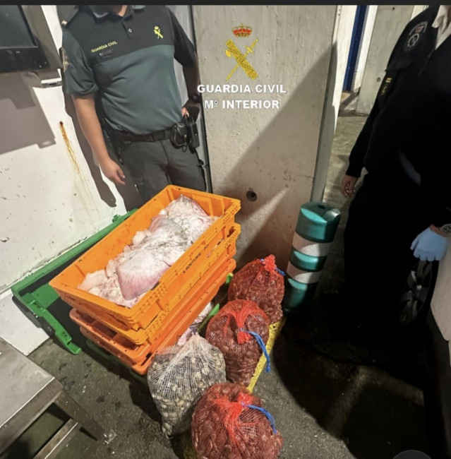 Almejas y raya intervenidas en un control en el puente internacional de la A-55 en Tui